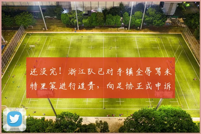 还没完！浙江队已对李镇全辱骂米特里策进行追责，向足协正式申诉_2